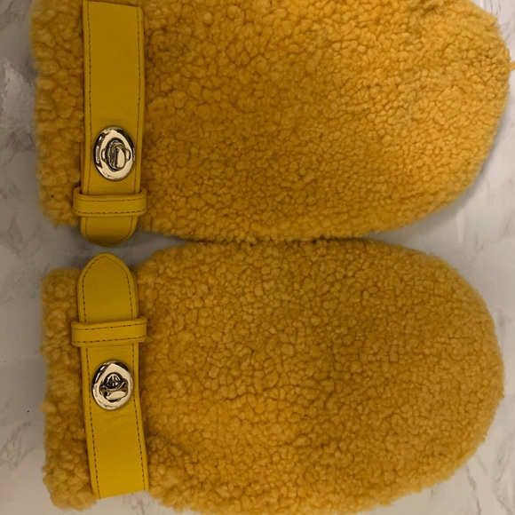Shearling Mittens